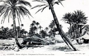 Algerie - Oasis - Campement Nomades